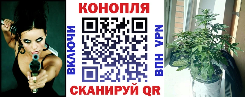 blacksprut ссылки  купить наркотики сайты  Курганинск  Канабис Ganja 